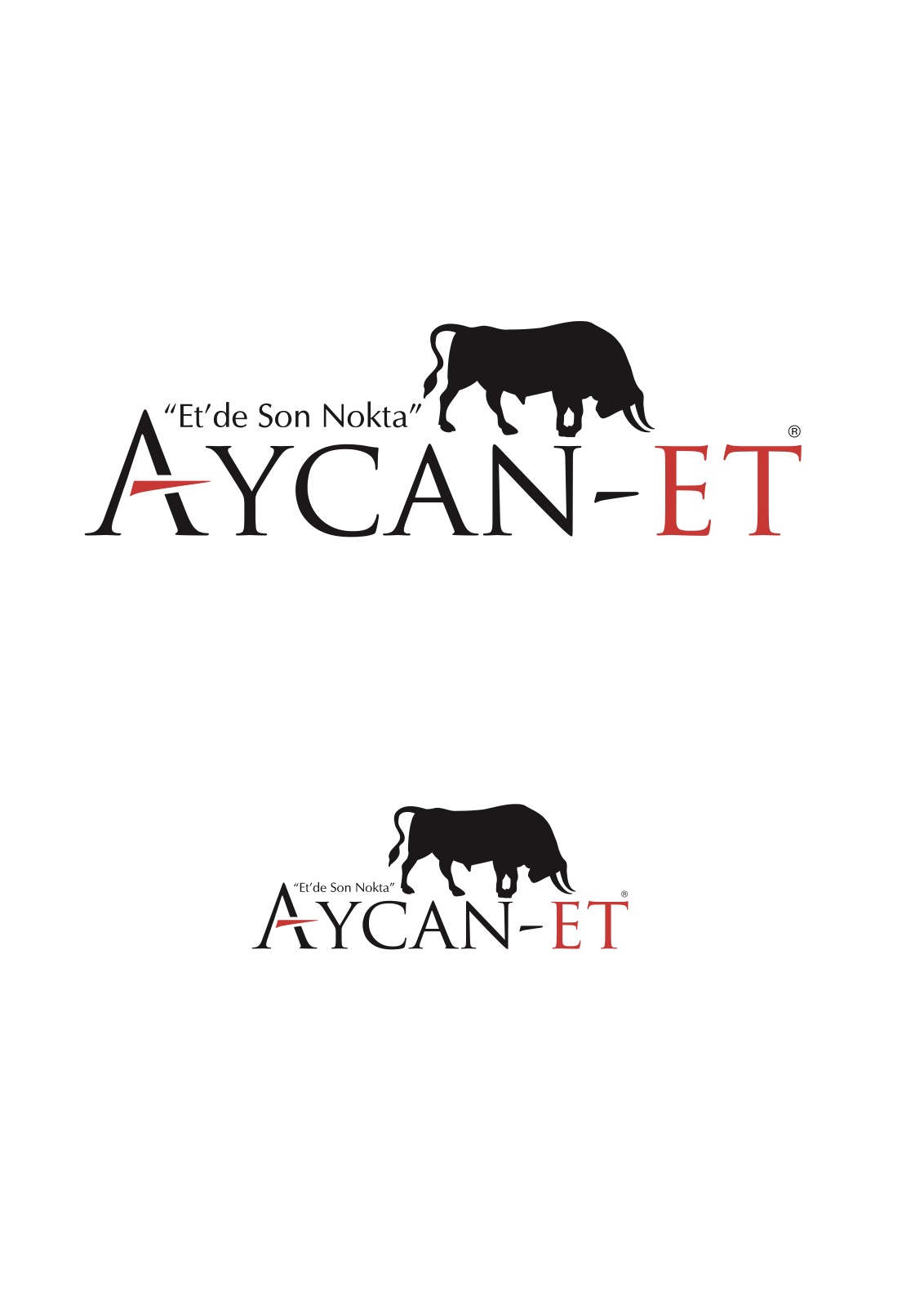 Aycan Et