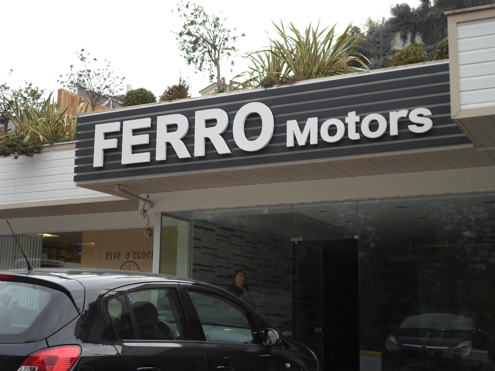 Ferro Motors